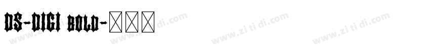 DS-DIGI bold字体转换